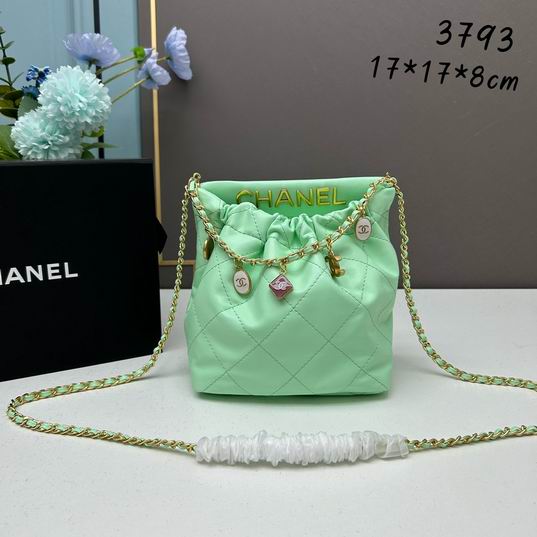 Chanel 3793 17x17x8cm ww  (1)